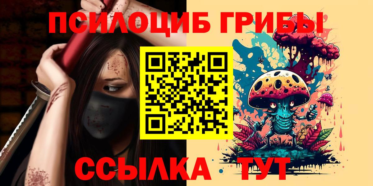 Черногорск  Галлюциногенные грибы Psilocybe  Галлюциногенные грибы Cubensis  Вход с VPN 